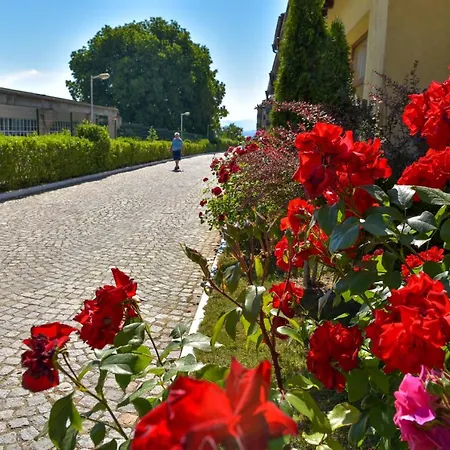 Bojur&bojurland Complex