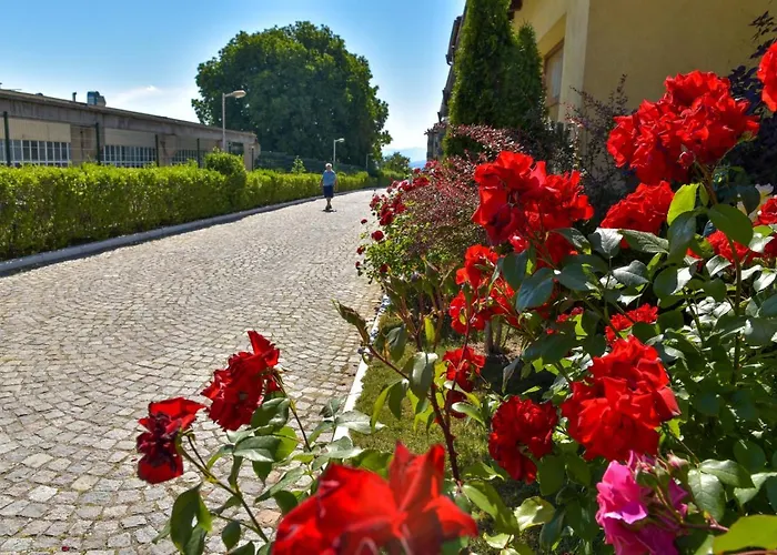 Bojur & Bojurland Complex